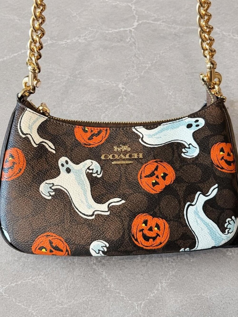 Limited Edition Coach Teri Bag Signature Canvas Halloween Ghost Pumpkin Motif
